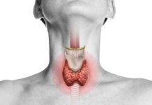 Examen de tiroides: Qué mide realmente y cuándo conviene controlarlo