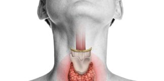 Examen de tiroides: Qué mide realmente y cuándo conviene controlarlo