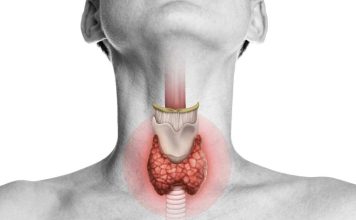 Examen de tiroides: Qué mide realmente y cuándo conviene controlarlo Examen de tiroides: Qué mide realmente y cuándo conviene controlarlo