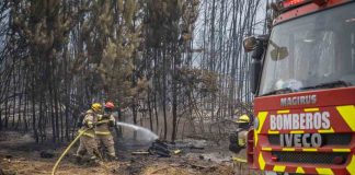 Gobierno refuerza seguridad y acelera ayudas