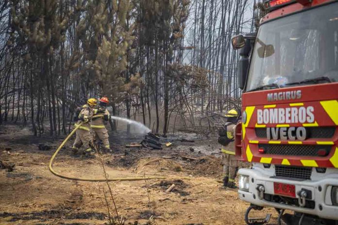 Gobierno refuerza seguridad y acelera ayudas