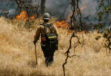 Guía de autocuidado ante incendios forestales Expertos entregan recomendaciones clave para proteger la salud