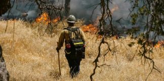 Guía de autocuidado ante incendios forestales Expertos entregan recomendaciones clave para proteger la salud