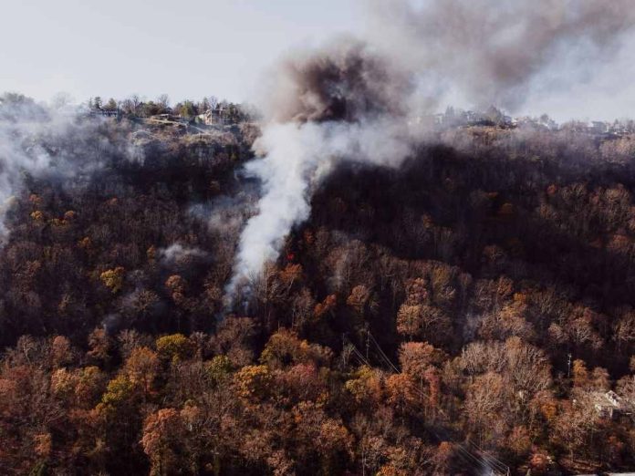 Humo y salud cómo protegerse durante los incendios forestales Humo y salud: cómo protegerse durante los incendios forestales