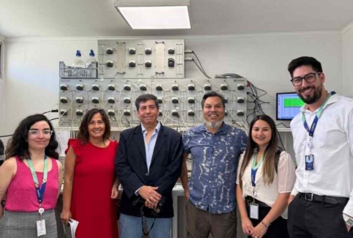 INTA y Symbiotech culminan proyecto CORFO orientado a mejorar la salud intestinal y renal de pacientes crónicos y personas con estreñimiento funcional