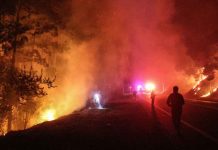 Incendios en Bio Bío y Ñuble fuera de control: las claves urgentes para proteger tu salud, la de tu familia y la desinformación