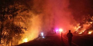 Incendios en Bio Bío y Ñuble fuera de control: las claves urgentes para proteger tu salud, la de tu familia y la desinformación