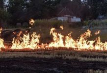 Incendios en Chile especialista en salud mental comparte recomendaciones para superar el impacto emocional de una catástrofe