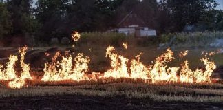 Incendios en Chile especialista en salud mental comparte recomendaciones para superar el impacto emocional de una catástrofe
