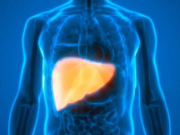 Investigación revela que derivado del Omega 3 podría atenuar el daño hepático por diabetes