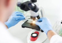 Investigadores de Mayo Clinic encuentran una nueva esperanza para el mieloma más difícil mediante inmunoterapia lista para usar