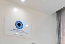 La paradoja del alcohol en Chile: menos consumo, la misma adicción La paradoja del alcohol en Chile