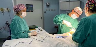 Nuevo operativo de la Corporación Mater beneficiará a 30 niños del Maule