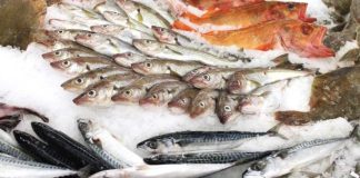 Pescados y mariscos en verano Cómo aprovechar sus beneficios nutricionales de forma segura y saludable