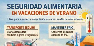 Seguridad alimentaria en vacaciones de verano