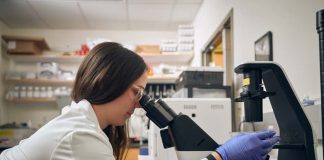 Soluciones avanzadas y tratamientos innovadores marcan la ruta de la salud y bienestar animal