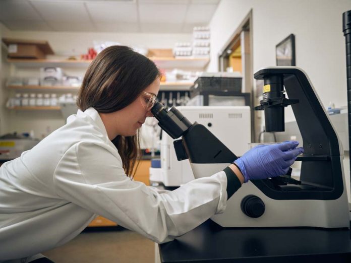 Soluciones avanzadas y tratamientos innovadores marcan la ruta de la salud y bienestar animal