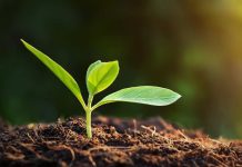 Territorios heridos Territorios heridos