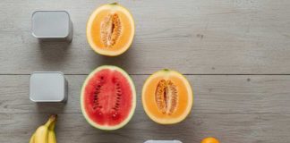 ¿Cómo asegurar los alimentos para ir de camping?: Nutricionista UCT aclara dudas para este verano