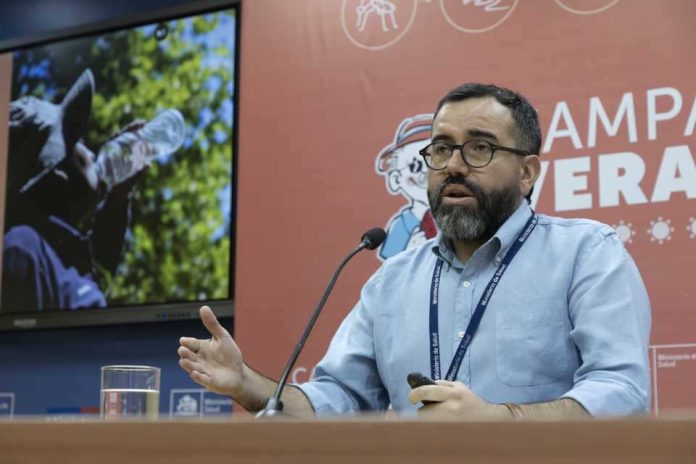 Campaña de Verano: Minsal informa sobre casos de Hantavirus y entrega recomendaciones