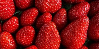 Fresas y prediabetes un aliado natural contra la resistencia a la insulina