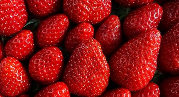 Fresas y prediabetes un aliado natural contra la resistencia a la insulina