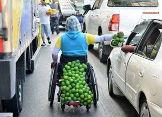 Fundación Chilena para la Discapacidad llama a autoridades a equilibrar permisos de comercio para personas con discapacidad