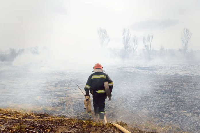 Megaincendio en el Biobío: la emergencia no terminó Megaincendio en el Biobío: la emergencia no terminó