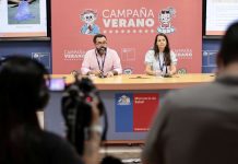 Minsal se refirió a hallazgo de mosquito Aedes aegypti en Paso Los Libertadores y actualizó vigilancia sanitaria nacional