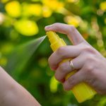 Picaduras de insectos y arácnidos en verano