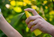 Picaduras de insectos y arácnidos en verano