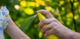 Picaduras de insectos y arácnidos en verano