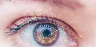 Tecnología ocular y lenguaje una investigación chilena revoluciona la enseñanza del inglés en Europa