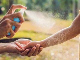 Verano y picaduras: cómo evitar terminar en urgencia