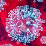 Virus Nipah en India Epidemióloga explica si existe un riesgo real para Chile