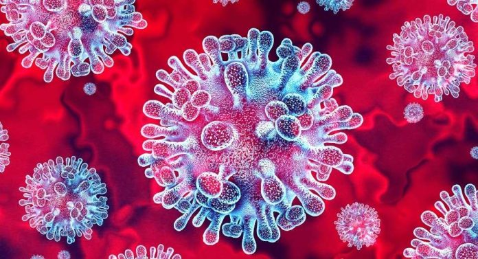 Virus Nipah en India Epidemióloga explica si existe un riesgo real para Chile