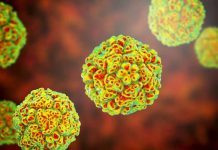 Estos puntos débiles en enterovirus podrían revolucionar el desarrollo de antivirales