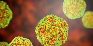 Estos puntos débiles en enterovirus podrían revolucionar el desarrollo de antivirales