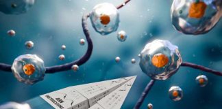 Nueva herramienta para medir la actividad de los editores celulares que alimentan el cáncer