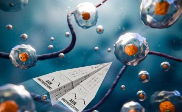 Nueva herramienta para medir la actividad de los editores celulares que alimentan el cáncer