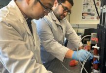 USA Investigadores desarrollan un modelo de corazón latente impreso en 3D para la práctica quirúrgica