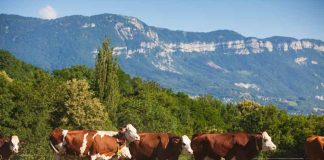 Zoetis adquirirá el negocio de Genómica Animal de Neogen®, Acelerando la Innovación en Salud Animal de Precisión Zoetis adquirirá el negocio de Genómica Animal de Neogen®, Acelerando la Innovación en Salud Animal de Precisión