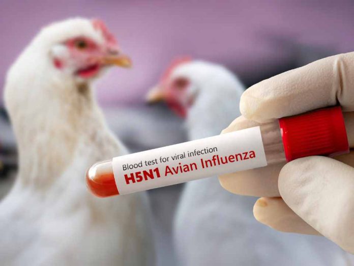 Caso confirmado de influenza aviar en Chile: Epidemióloga explica el riesgo en nuestro país, influenza aviar H5N1