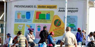 24ª Semana de la Vacunación de las Américas: Ministra de Salud encabeza operativos en su primera visita a la región de Arica y Parinacota