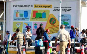 24ª Semana de la Vacunación de las Américas: Ministra de Salud encabeza operativos en su primera visita a la región de Arica y Parinacota