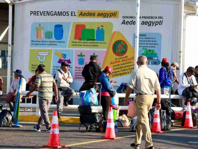 24ª Semana de la Vacunación de las Américas: Ministra de Salud encabeza operativos en su primera visita a la región de Arica y Parinacota