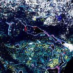 Australia Escudos y guardaespaldas los científicos descubren las defensas ocultas de un cáncer infantil mortal