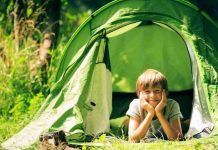 Cuidado con el hantavirus Cuidado con el hantavirus