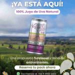 De la crisis del vino a la innovación: emprendedora de O’Higgins crea jugo funcional con antioxidantes de la propia uva enriquecido con resveratrol 