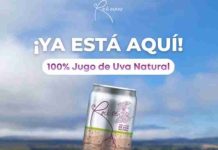 De la crisis del vino a la innovación: emprendedora de O’Higgins crea jugo funcional con antioxidantes de la propia uva enriquecido con resveratrol 